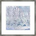 Window Frost Print Framed Print