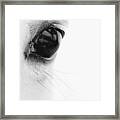 Window To The Soul Framed Print