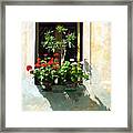 Window With A Tree Framed Print