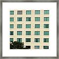 Windows And The Tree Framed Print