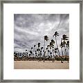 Windy Beach Framed Print
