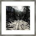 Windy Day Framed Print