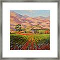 Wine Country Ii - Talley Vineyard Arroyo Grande Framed Print