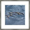 Wings In Formation Framed Print