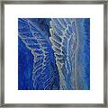 Wings Of Angel Framed Print