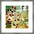 Winter Beriies Framed Print