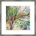 Winter Berries Framed Print