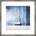 Winter Framed Print