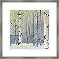 Winter Birch Forest Framed Print