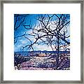 Winter Branches Framed Print