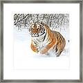 Winter Charge Framed Print