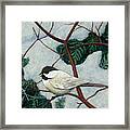 Winter Chickadee Framed Print