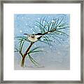 Winter Chickadee Framed Print