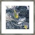 Winter Collage Framed Print