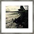 Winter Comes To The Sea Framed Print
