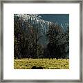 Winter Coming Down Framed Print