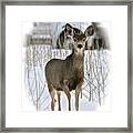 Winter Deer On The Tree Farm Framed Print