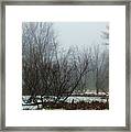 Winter Fog Framed Print