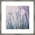 Winter Forest Framed Print