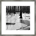 Winter Forest With Ice 2 Framed Print