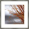 Winter Grass - 2 Framed Print