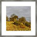 Winter Grass On The Hill. Framed Print