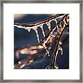 Winter Ice Framed Print