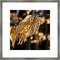 Winter Leaves Left Framed Print