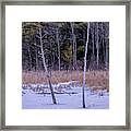 Winter Marsh And Trees Framed Print