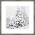 Winter Of  04 Framed Print