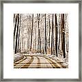 Winter Road Through The Forest Framed Print