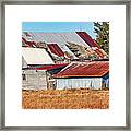 Winter Scars Framed Print