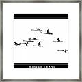 Winter Swans Framed Print