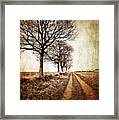 Winter Track With Trees Framed Print