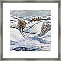 Winter Tranquility Framed Print