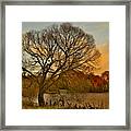 Winter Tree On The River Tweed Framed Print