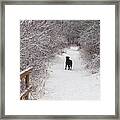 Winter Walk Framed Print