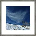 Winter Walk Framed Print