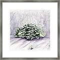 Winter Wind Framed Print