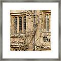 Winter Windows. Framed Print