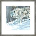 Winter Wolf Framed Print