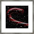 Winter's Candy Framed Print