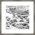 Wintry Day In The High Mountain Desert Framed Print