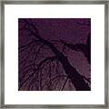 Witch Tree Framed Print