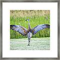 With Open Arms Framed Print