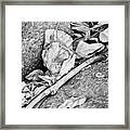Withered Leaves Framed Print
