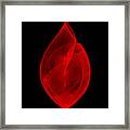Within Shell Iii Framed Print