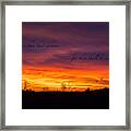 Finding Some Comfort Within The Clouds Framed Print