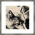 Wolf Lite Framed Print