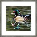 Wood Duck Reflections At Sterne Park Framed Print